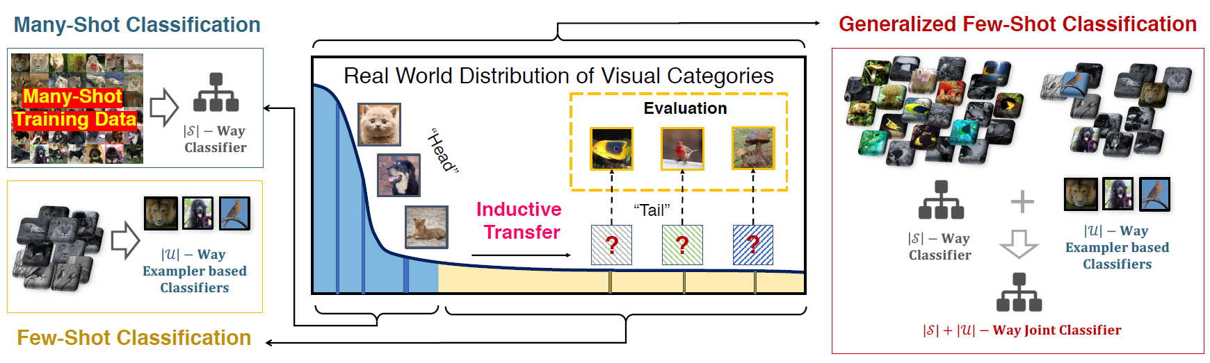 WSFG